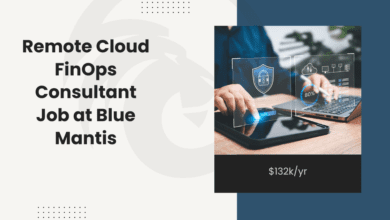 Remote Cloud FinOps Consultant Job at Blue Mantis: $132k/yr