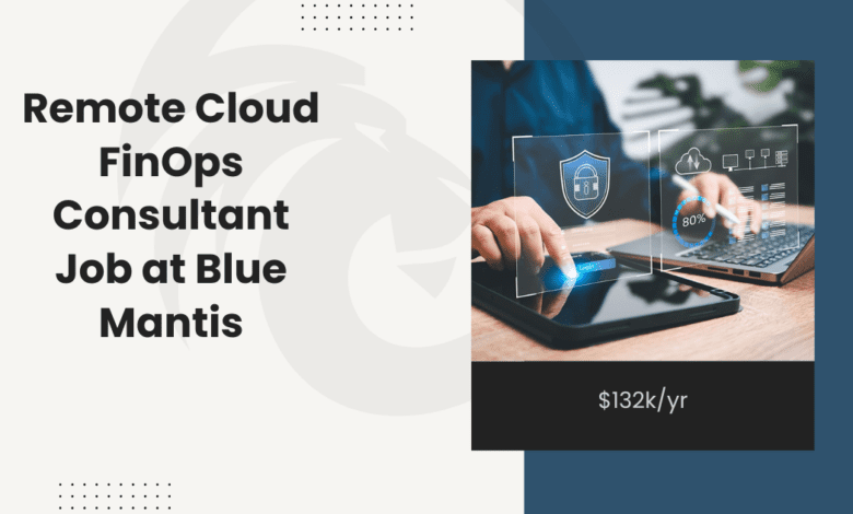 Remote Cloud FinOps Consultant Job at Blue Mantis: $132k/yr